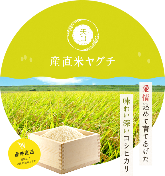 コシヒカリ10kg～　お米の通販【産直米ヤグチ】